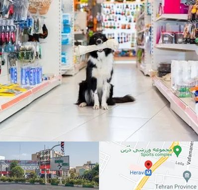 پت شاپ در هروی