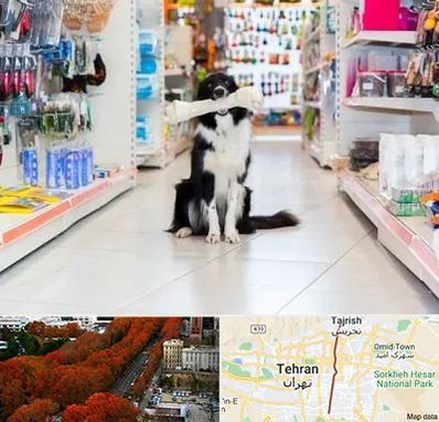 پت شاپ در ولیعصر