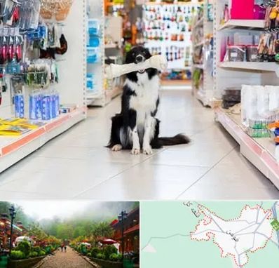 پت شاپ در فومن