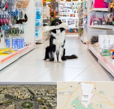 پت شاپ در قزوین