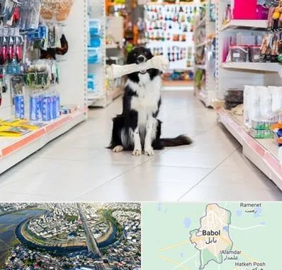 پت شاپ در بابل