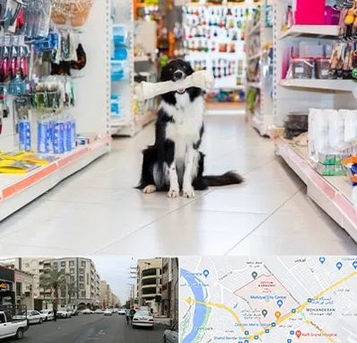 پت شاپ در زیتون کارمندی اهواز