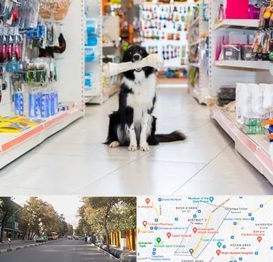 پت شاپ در شریعتی