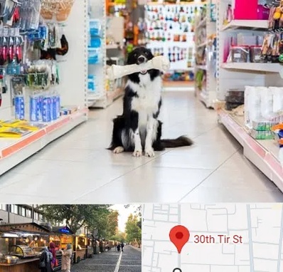 پت شاپ در سی تیر