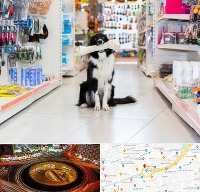 پت شاپ در میدان ولیعصر