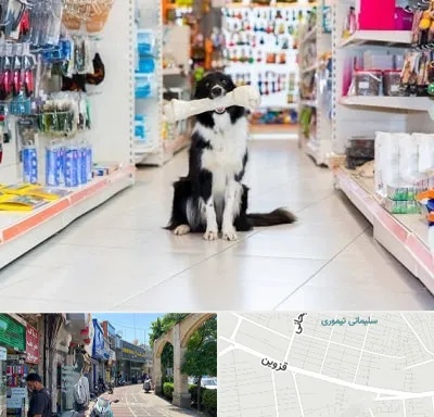 پت شاپ در خیابان قزوین