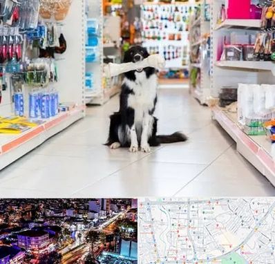 پت شاپ در منظریه رشت