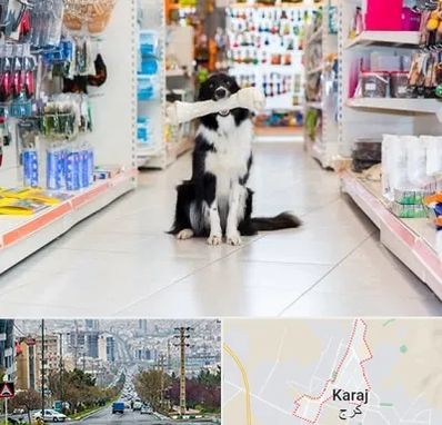 پت شاپ در گوهردشت