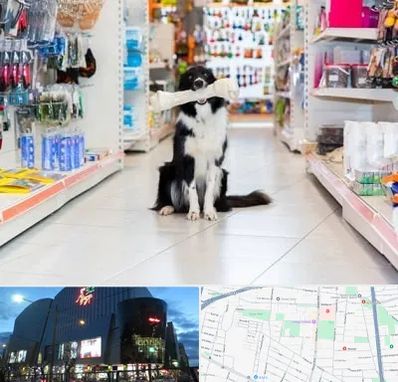 پت شاپ در بلوار اباذر