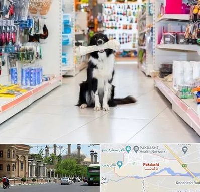 پت شاپ در پاکدشت