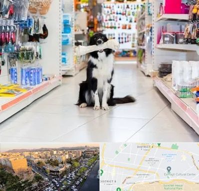 پت شاپ در تهرانپارس