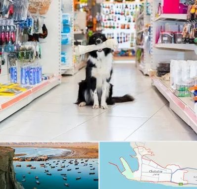 پت شاپ در چابهار