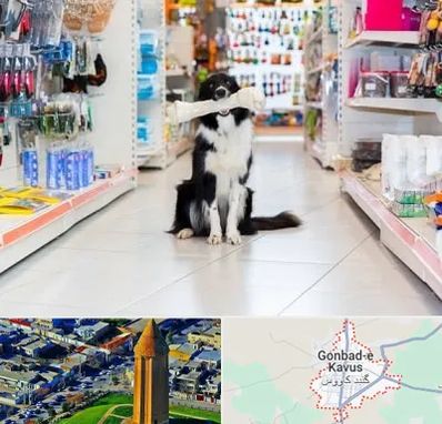 پت شاپ در گنبد کاووس