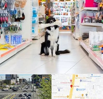 پت شاپ در ستاری