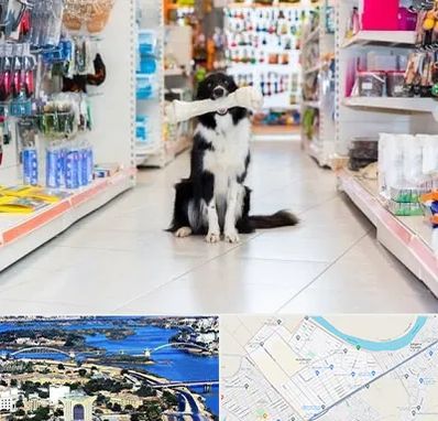 پت شاپ در کوروش اهواز