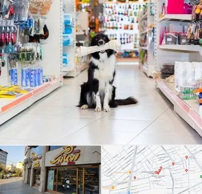 پت شاپ در عطاران قم