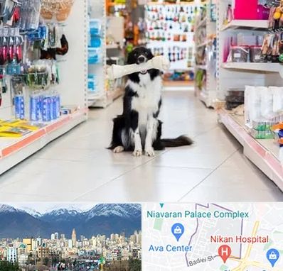 پت شاپ در آجودانیه