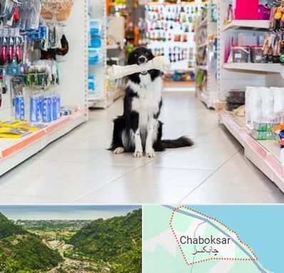 پت شاپ در چابکسر