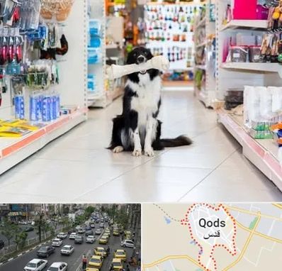 پت شاپ در شهر قدس