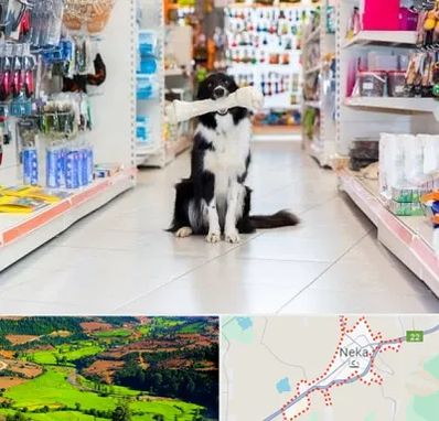 پت شاپ در نکا