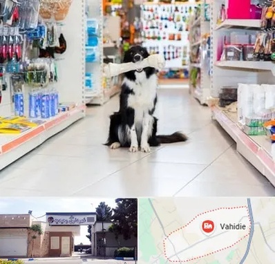 پت شاپ در وحیدیه شهریار