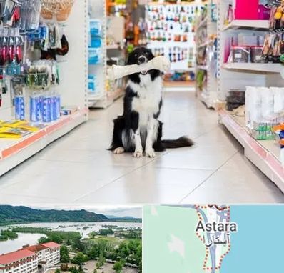 پت شاپ در آستارا