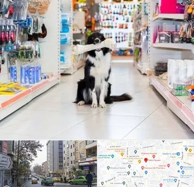 پت شاپ در فاطمی