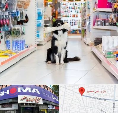 پت شاپ در امین حضور