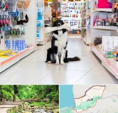 پت شاپ در گلستان