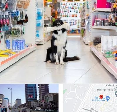 پت شاپ در چهارراه طالقانی کرج