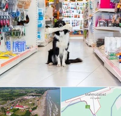 پت شاپ در محمودآباد