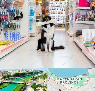 پت شاپ در مازندران
