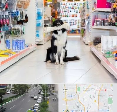 پت شاپ در ستارخان
