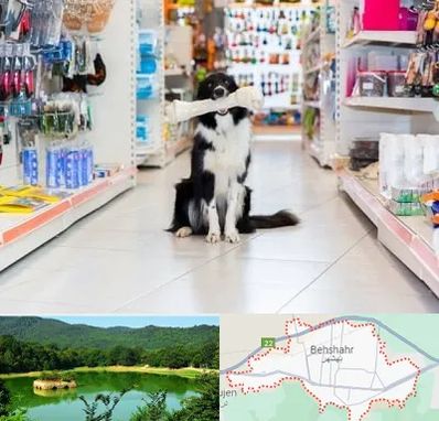 پت شاپ در بهشهر