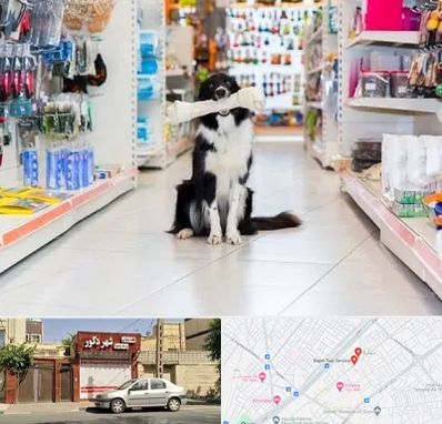 پت شاپ در باجک قم