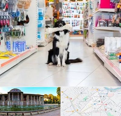 پت شاپ در عفیف آباد شیراز