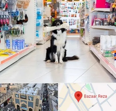 پت شاپ در بازار رضا مشهد