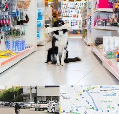 پت شاپ در قدوسی شرقی شیراز