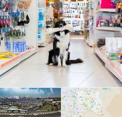 پت شاپ در منطقه 15 تهران