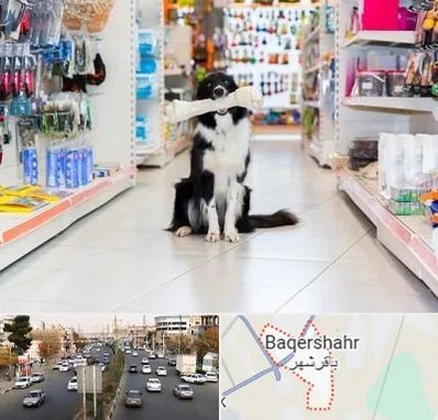 پت شاپ در باقرشهر