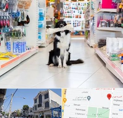 پت شاپ در افسریه