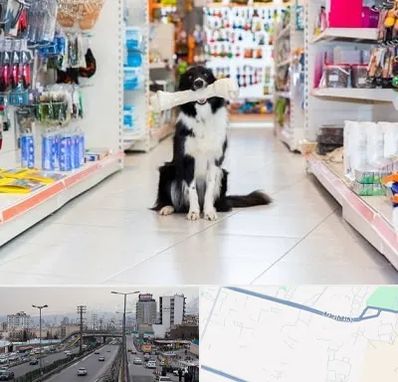 پت شاپ در بلوار ارتش