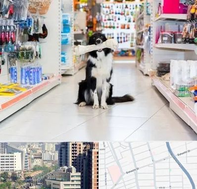 پت شاپ در خیابان بهشتی