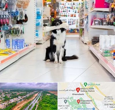 پت شاپ در قصرالدشت شیراز