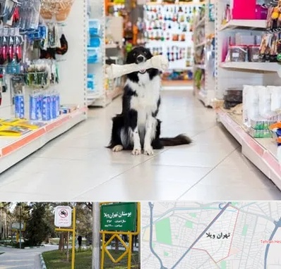 پت شاپ در تهران ویلا