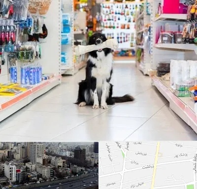 پت شاپ در زرتشت