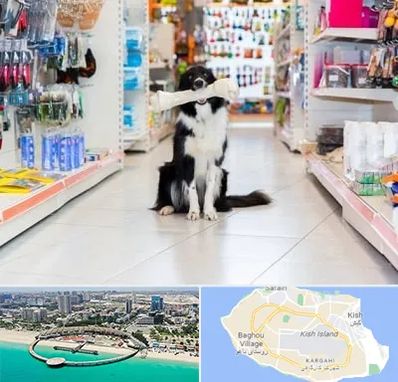 پت شاپ در کیش