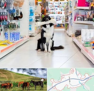 پت شاپ در تالش