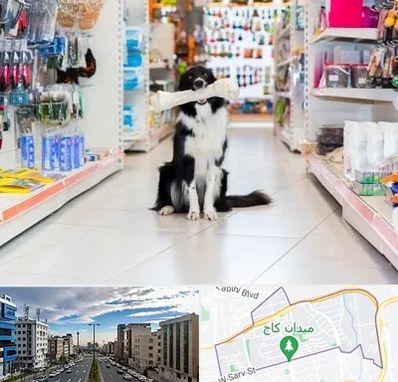 پت شاپ در سعادت آباد