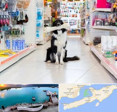 پت شاپ در قشم